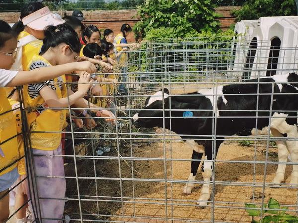 研学-所网02.jpg