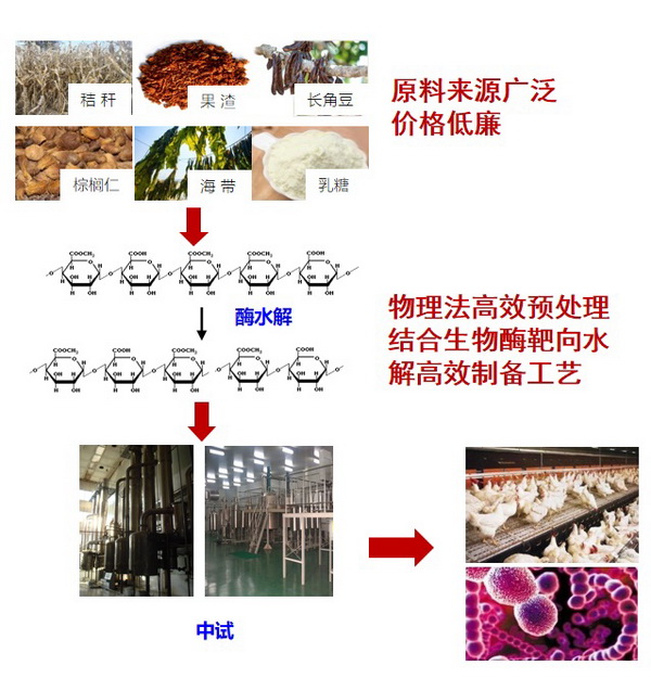 34 饲用寡糖.jpg